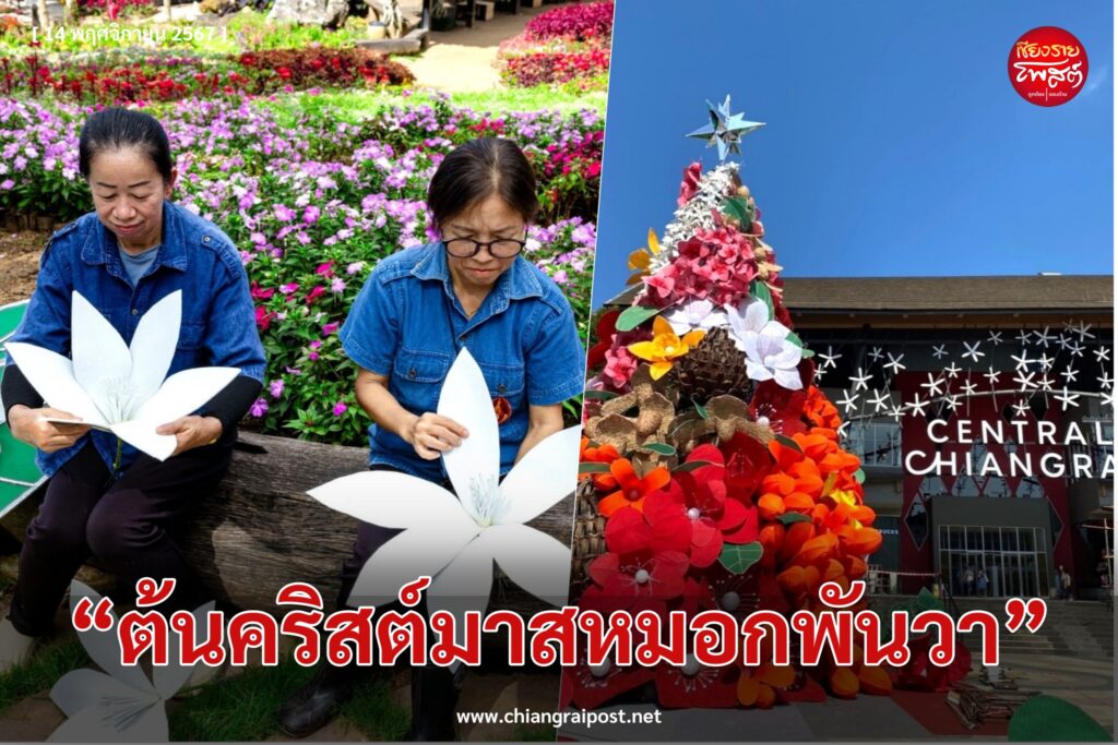 เชียงรายโพสต์ แนวขวาง